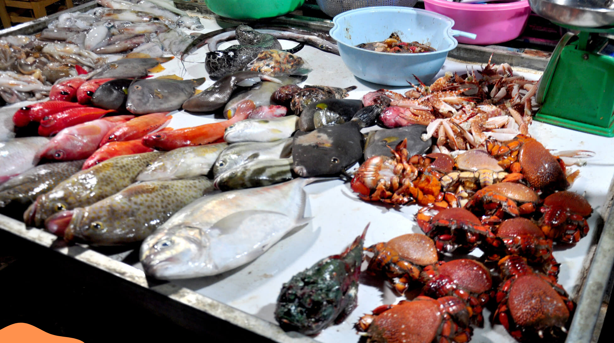 Thực trạng thị trường hải sản nội địa 