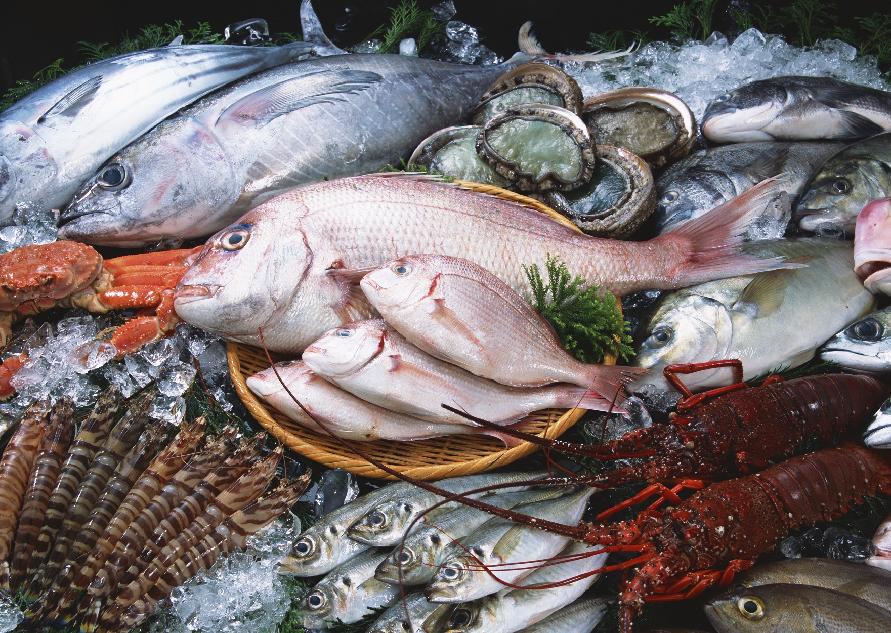 "Cuộc chiến" giành lại thị phần trong thị trường hải sản nội địa